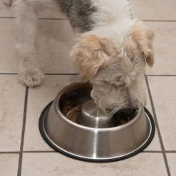 Comedero Antivoracidad De Acero Para Perros -Perros Gatos Suministros Tienda 66523 antischlingnapf fg 0988 4