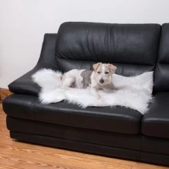 Smartpet Alfombra Para Perros Y Gatos -Perros Gatos Suministros Tienda 73343 kunstfell wei tier fg 9887 1