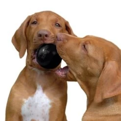 KONG Extreme Ball -Perros Gatos Suministros Tienda 74241 kong extremeball hs 03 6