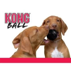 KONG Extreme Ball -Perros Gatos Suministros Tienda 74241 kong extremeball hs 04 2