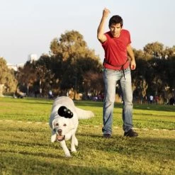 KONG Extreme Juguete Negro Para Perros -Perros Gatos Suministros Tienda 74319 kongextremeschwarz hs 02 0