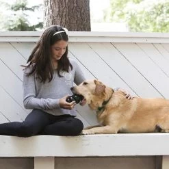 KONG Extreme Juguete Negro Para Perros -Perros Gatos Suministros Tienda 74319 kongextremeschwarz hs 03 2