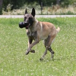 KONG Extreme Juguete Negro Para Perros -Perros Gatos Suministros Tienda 74319 kongextremeschwarz hs 04 9