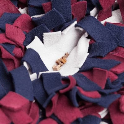 Trixie Activity Alfombra Olfativa Para Perros Y Gatos 7 Trixie Activity Alfombra Olfativa Para Perros Y Gatos - Imagen 5