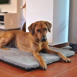 Colchón Ortopédico Pawz & Pepper Aurora -Perros Gatos Suministros Tienda 78424 petlando pawzpepper hundekissen denver hs 07 9