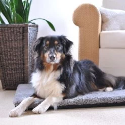 Colchón Ortopédico Pawz & Pepper Aurora -Perros Gatos Suministros Tienda 78424 petlando pawzpepper hundekissen denver hs 08 6