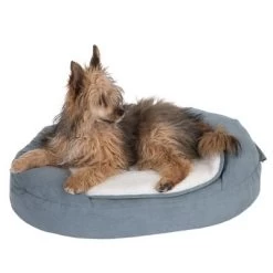 Cama Ortopédica Memory Ovalada Gris -Perros Gatos Suministros Tienda 79216 memory oval grau fg 6670 1