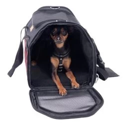 Bolso De Transporte A Cuadros Para Mascotas -Perros Gatos Suministros Tienda 79331 tragetasche hund fg 7511 8