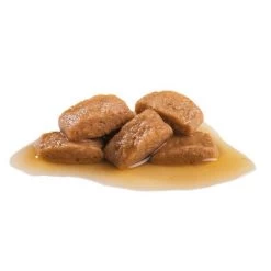 Royal Canin Maxi Adult En Salsa Para Perros -Perros Gatos Suministros Tienda 82975 royalcanin maxi adult 2