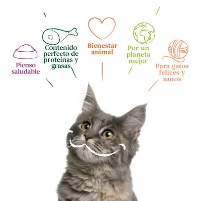 Yarrah Bio 48 X 100 G En Tarrinas Para Gatos - Pack Ahorro 19 Yarrah Bio 48 X 100 G En Tarrinas Para Gatos - Pack Ahorro - Imagen 17