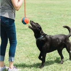 Chuckit! Rope Fetch Pelota Con Cuerda Para Perros 13 Chuckit! Rope Fetch Pelota Con Cuerda Para Perros -Perros Gatos Suministros Tienda 99704 petmate chuckit rope fetch hs 04 5