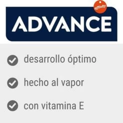Advance Kitten Con Pavo Comida Húmeda Para Gatos -Perros Gatos Suministros Tienda advance 4 3