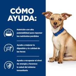 Hill's I/d Prescription Diet Digestive Care Estofado Para Perros -Perros Gatos Suministros Tienda atf 606353 how it helps 1
