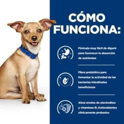 Hill's I/d Prescription Diet Digestive Care Estofado Para Perros -Perros Gatos Suministros Tienda atf 606353 how it works 2
