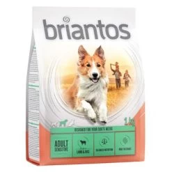 Briantos Adult Sensitive Con Cordero Y Arroz -Perros Gatos Suministros Tienda briantos c 1kg adult sensitive 2022 1000x1000 4