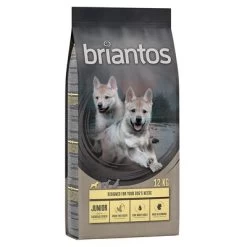 Briantos SIN CEREALES Pienso Para Perros - Pack Ahorro 22 Briantos SIN CEREALES Pienso Para Perros - Pack Ahorro -Perros Gatos Suministros Tienda briantos gf junior huhn 12kg 1000x1000 5