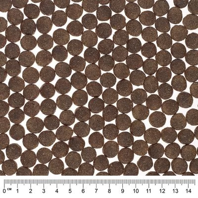 Briantos SIN CEREALES Pienso Para Perros - Pack Ahorro 13 Briantos SIN CEREALES Pienso Para Perros - Pack Ahorro - Imagen 11