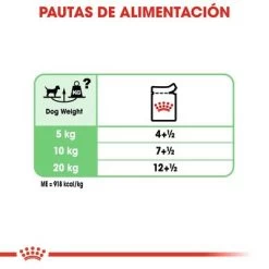 Royal Canin CCN Digestive Care Mousse Para Perros -Perros Gatos Suministros Tienda ccn 1 6