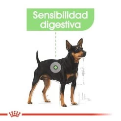 Royal Canin CCN Digestive Care Mousse Para Perros -Perros Gatos Suministros Tienda ccn 3 3