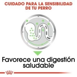 Royal Canin CCN Digestive Care Mousse Para Perros -Perros Gatos Suministros Tienda ccn 9 1