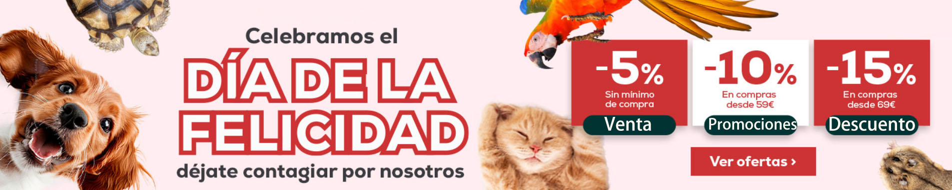 Perros Gatos Suministros Tienda -Perros Gatos Suministros Tienda dfgdgf