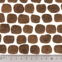 Wolf Of Wilderness The Taste Of The Mediterranean -Perros Gatos Suministros Tienda dsc2642 0