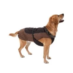 Abrigo Grizzly II Para Perros -Perros Gatos Suministros Tienda hundem ntel 35 2