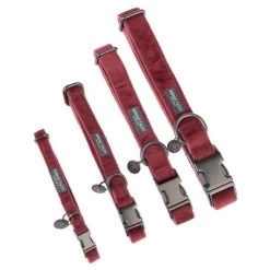 Collar Nomad Tales Blush Vino Para Perros -Perros Gatos Suministros Tienda nomad tales blush halsbaender fg 1317 0