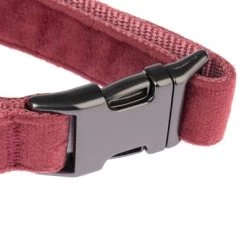 Collar Nomad Tales Blush Vino Para Perros -Perros Gatos Suministros Tienda nomad tales blush halsbaender fg 1322 7