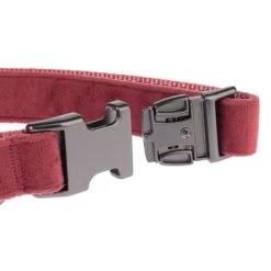 Collar Nomad Tales Blush Vino Para Perros -Perros Gatos Suministros Tienda nomad tales blush halsbaender fg 1323 7