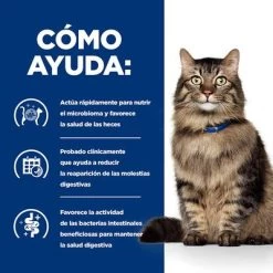 Hill's Gastrointestinal Biome Prescription Diet Estofado Para Gatos -Perros Gatos Suministros Tienda pd gibiome cat bk32326m bk31171 how helps es 2