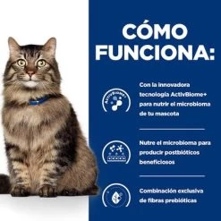 Hill's Gastrointestinal Biome Prescription Diet Estofado Para Gatos -Perros Gatos Suministros Tienda pd gibiome cat bk32326m bk31171 how works es 6