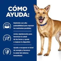 Hill's I/d Prescription Diet Latas Para Perros -Perros Gatos Suministros Tienda pd id dog bk30978m bk31617 bk30920 how helps es 6