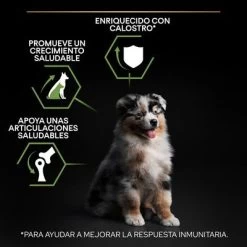 PURINA PRO PLAN Medium Puppy Healthy Start 17 PURINA PRO PLAN Medium Puppy Healthy Start -Perros Gatos Suministros Tienda pu benefit tile m2 healthy start 3 2500x2500px 221229 1 1673334810874 3