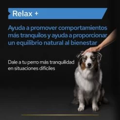PRO PLAN Dog Adult Relax Supplement Aceite 16 PRO PLAN Dog Adult Relax Supplement Aceite -Perros Gatos Suministros Tienda pu supplementals atf relax dog a 220513 es es 1