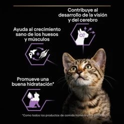 PURINA PRO PLAN Kitten Healthy Start 24 X 85 G En Latas -Perros Gatos Suministros Tienda puprpnwcadvhenocach23fnb2jcles 4
