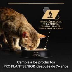 PURINA PRO PLAN Cat Adult Maintenance 24 X 85 G En Latas -Perros Gatos Suministros Tienda puprpnwcadvhenocach23junbocrem copy 2