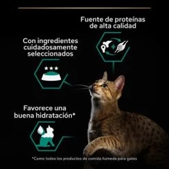 PURINA PRO PLAN Cat Adult Maintenance 24 X 85 G En Latas -Perros Gatos Suministros Tienda puprpnwcadvmanocach23fnb2cles 9