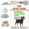 Royal Canin CCN Digestive Care Mousse Para Perros -Perros Gatos Suministros Tienda rc ccn wet digestive mv eretailkit es es 4