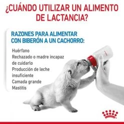 Royal Canin Babydog Milk -Perros Gatos Suministros Tienda rc chn babydogmilk 2kg cv 2 es es pdf 6