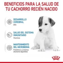 Royal Canin Babydog Milk -Perros Gatos Suministros Tienda rc chn babydogmilk 2kg cv 4 es es pdf 0