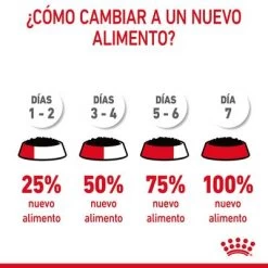 Royal Canin Hair & Skin Care En Salsa -Perros Gatos Suministros Tienda rc fcn hairskinpouchgravy 12 es es 7