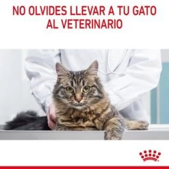 Royal Canin Hair & Skin Care En Salsa -Perros Gatos Suministros Tienda rc fcn hairskinpouchgravy 13 es es 9