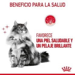 Royal Canin Hair & Skin Care En Salsa -Perros Gatos Suministros Tienda rc fcn hairskinpouchgravy 6 es es 4
