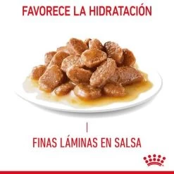 Royal Canin Hair & Skin Care En Salsa -Perros Gatos Suministros Tienda rc fcn hairskinpouchgravy 7 es es 7