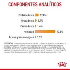 Royal Canin Hair & Skin Care En Salsa -Perros Gatos Suministros Tienda rc fcn hairskinpouchgravy 9 es es 1