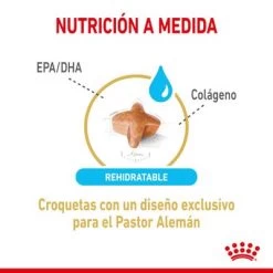 Royal Canin Pastor Alemán Adult 5+ -Perros Gatos Suministros Tienda rc spt dry germshep5 cv 2 es es 1