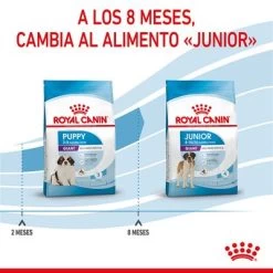 Royal Canin Giant Puppy -Perros Gatos Suministros Tienda rc spt dry giantpuppy cv 5 es es 5