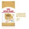 Royal Canin Labrador Retriever Adult 5+ -Perros Gatos Suministros Tienda rc spt dry lab5 mv 1 de de 3