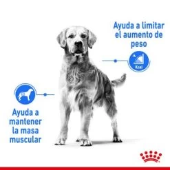 Royal Canin Medium Light Weight Care -Perros Gatos Suministros Tienda rc spt dry lightweightmed cv 1 es es 1 4